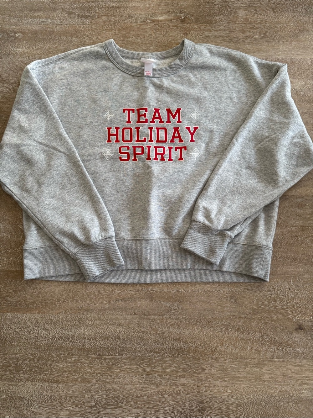 EUC Team Holiday Spirit Gray Sweatshirt with Red Lettering - L